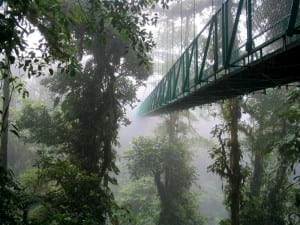 MonteVerde a place you must visit