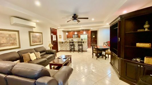 Apartment #14 first floor garden view