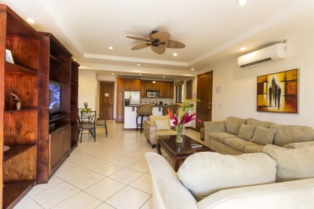 Condominium 1
