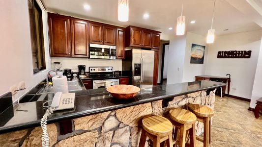Condominium 9
