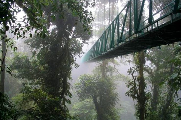 Monteverde (2)